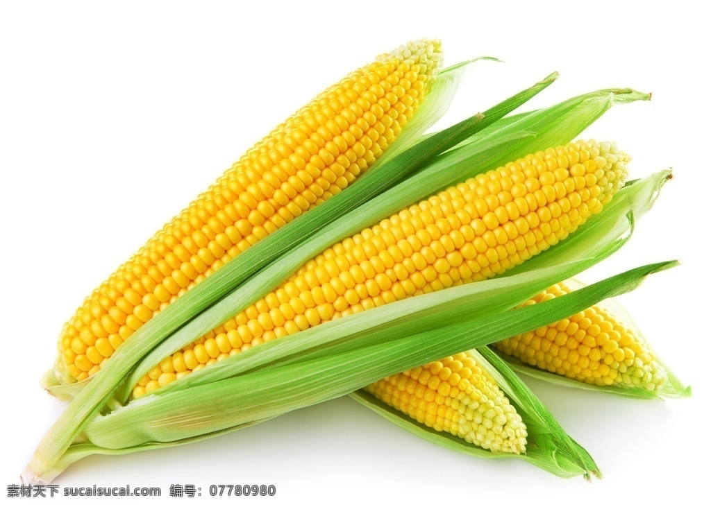 玉米 特色玉米 风味玉米 田园时蔬 农家玉米 菜 美食 生物世界 蔬菜