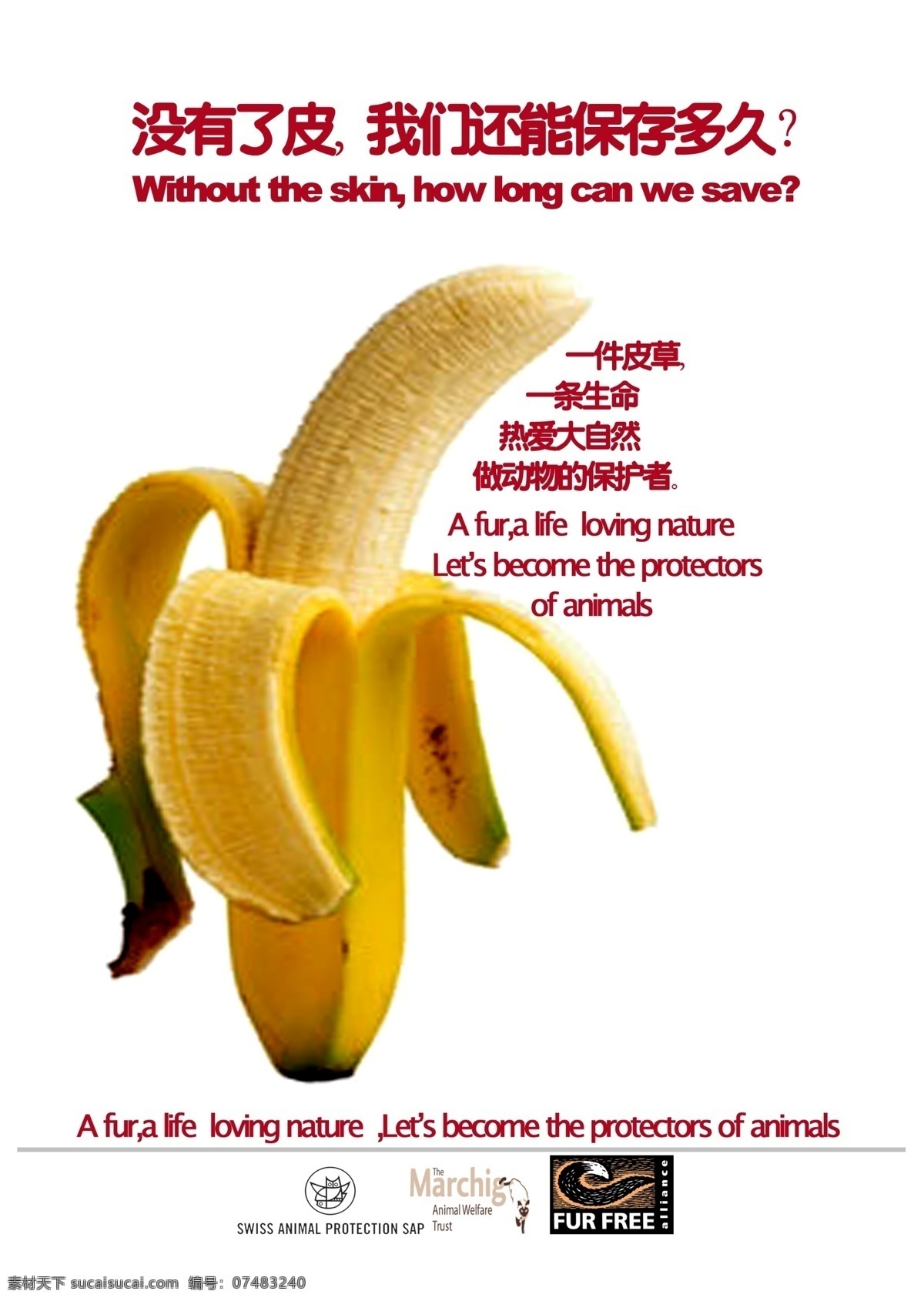 反对 皮草 保护动物 公益海报 环境设计 皮 其他设计 香蕉 源文件 反对皮草 环保公益海报