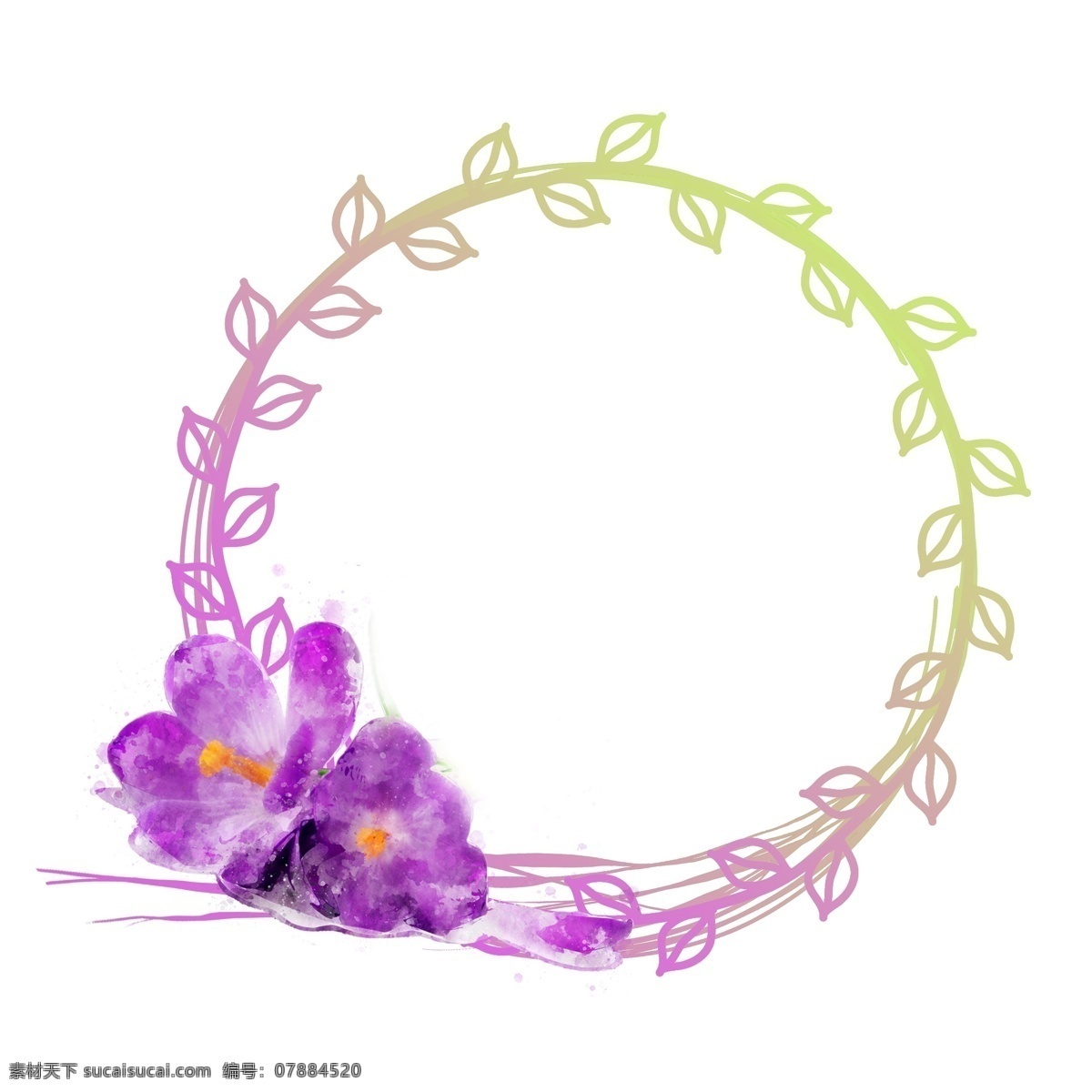 手绘 紫色 植物 花卉 水彩 圆形 边框 元素 原创 手绘边框 植物边框 花卉边框