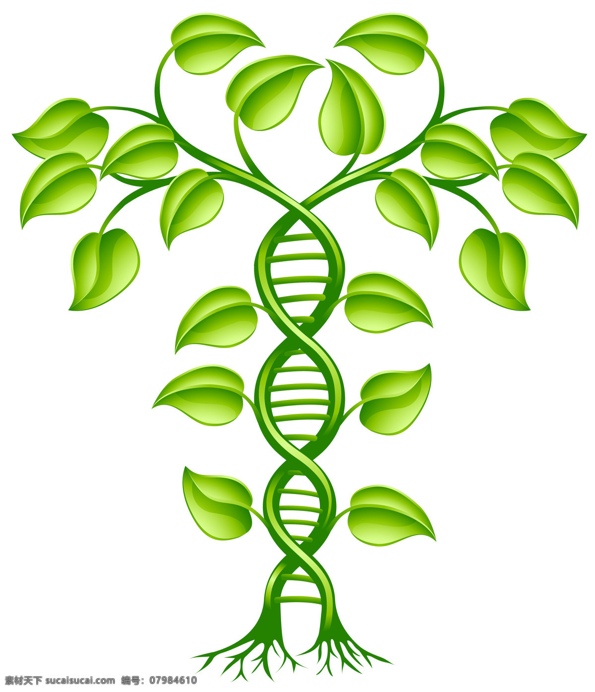 基因dna dna结构图 dna背景 科技背景 dna分子 螺旋 科学分子 基因 基因链 生物 化学 生物化学 生物技术 遗传 遗传病 染色体 医学 医疗 基因组 医疗保健 生活百科 摄影图片 现代科技 科学研究