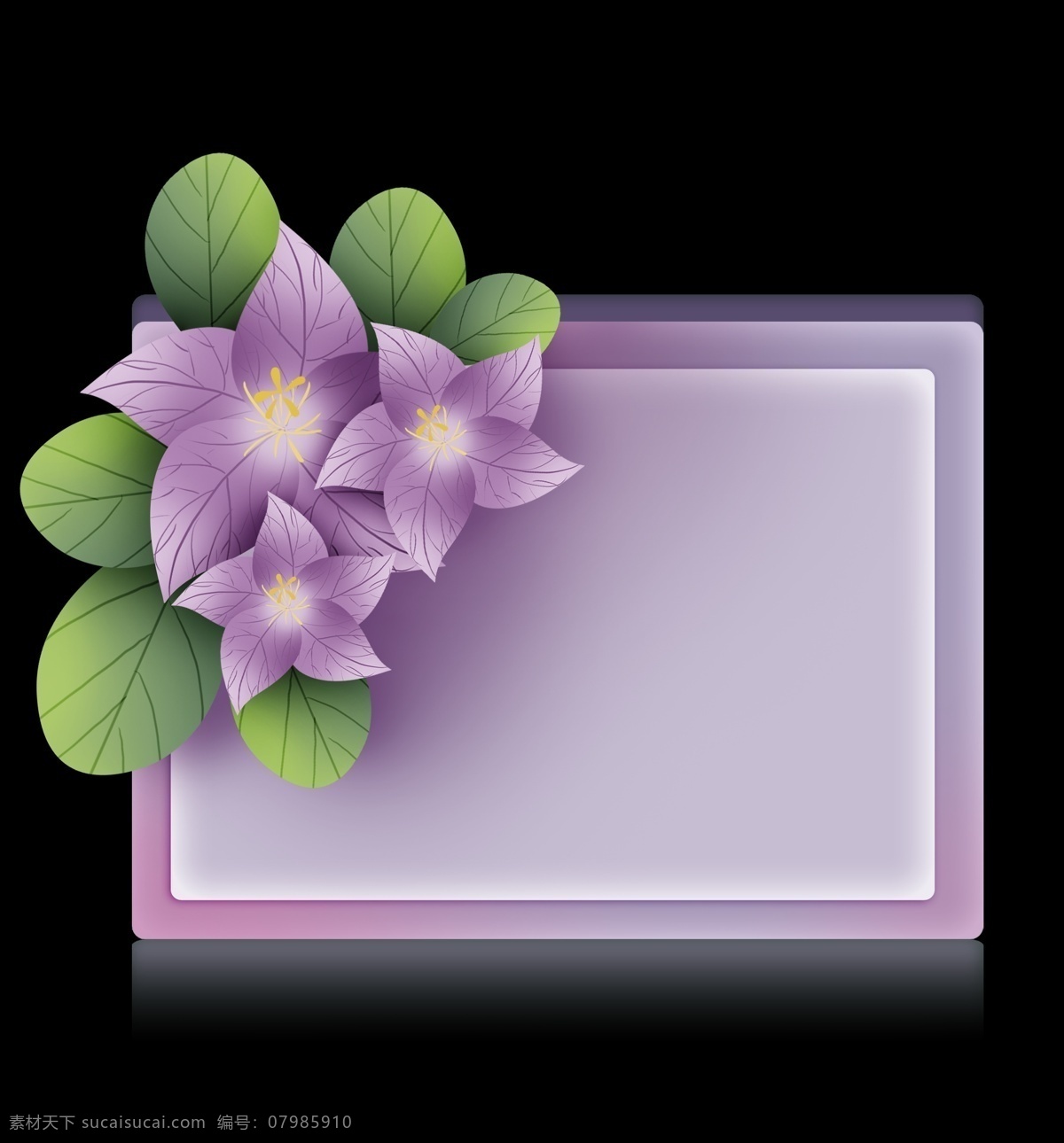 立体 紫色 花朵 标题 框 叶子 春天 紫色花朵 花朵提示框 文字 花卉文本框