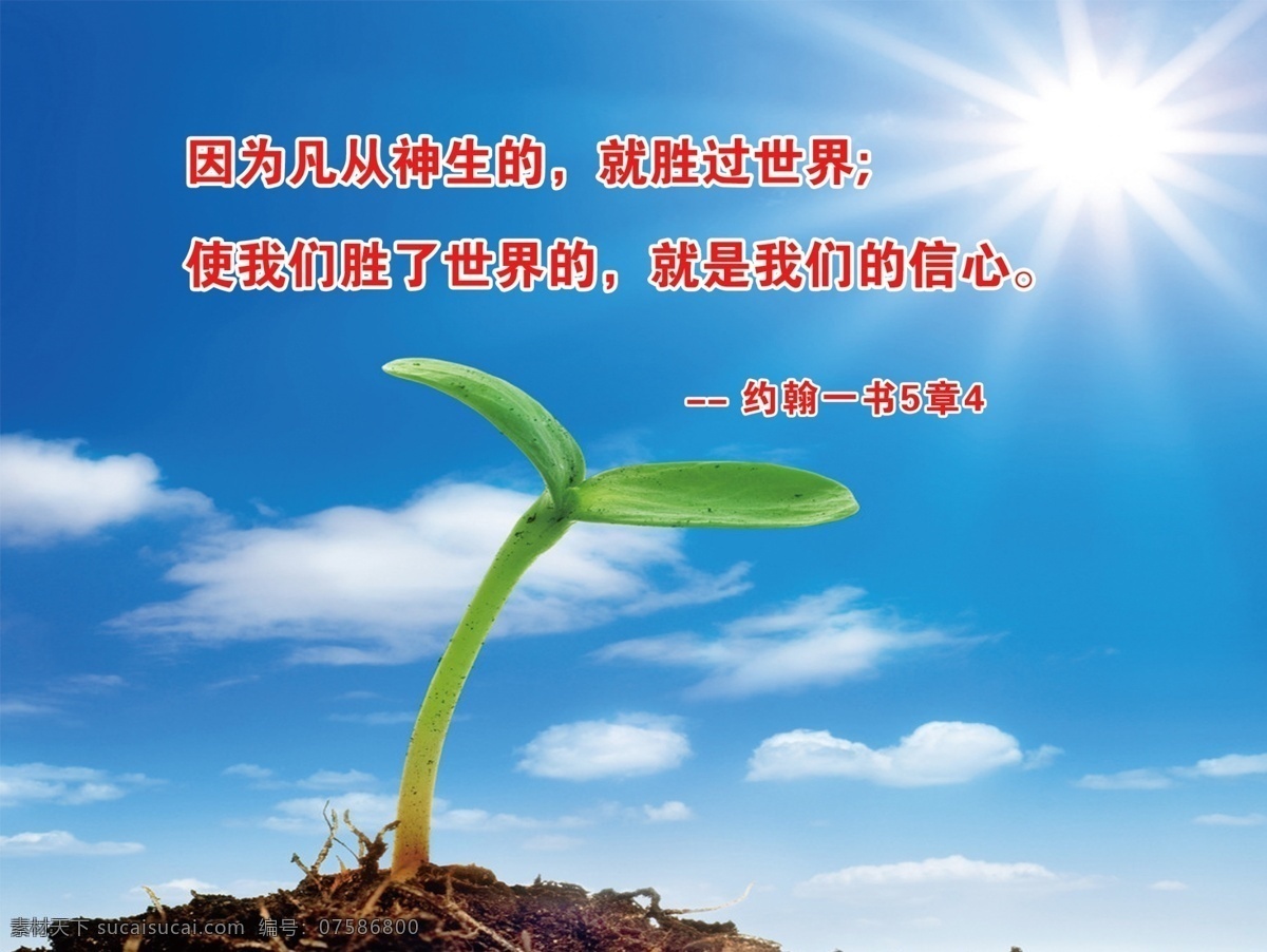 基督教圣经句 基督教 圣经句子 圣经段子 圣经 基督