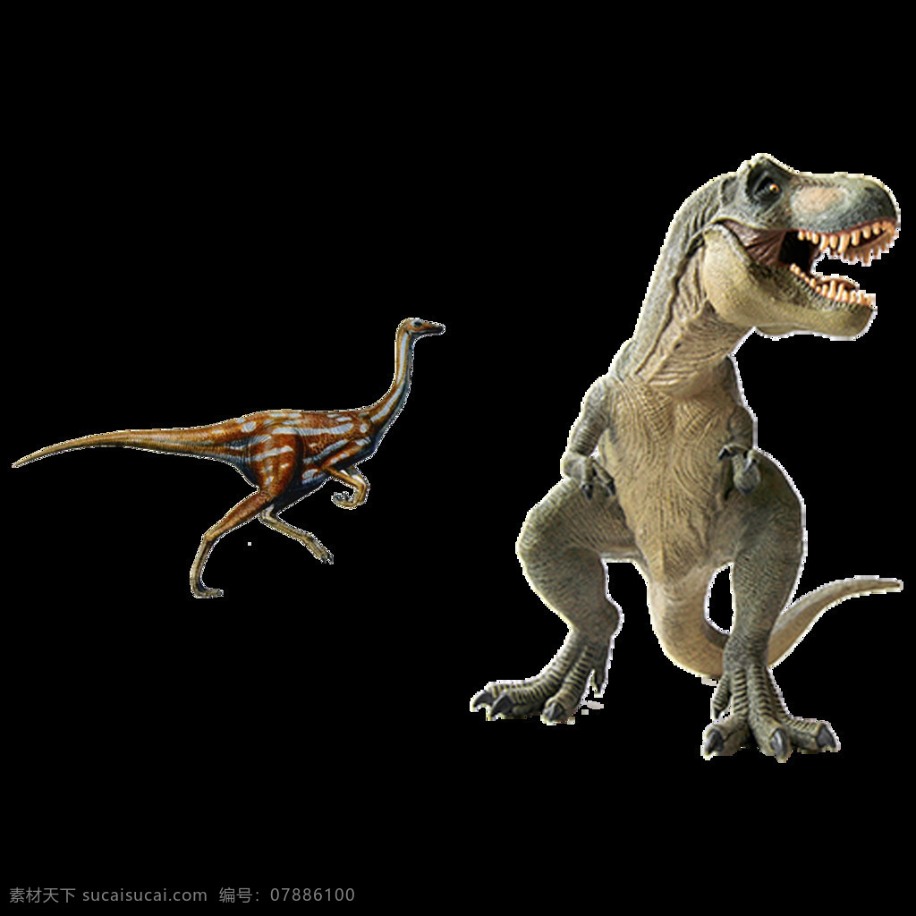 凶猛 恐龙 免 抠 透明 图 层 真恐龙图片 火恐龙 恐龙宝宝图片 会飞的恐龙 恐龙化石 棘龙 海王龙 大全 名字 霸王龙 翼龙 恐龙世界 恐龙图片大全 恐龙图片