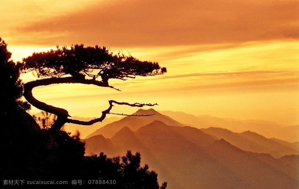 鹰盘山 夕阳 松树 山峦 自然风景 旅游摄影