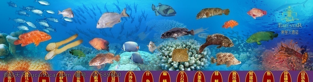 海鲜世界 海底世界 海鲜 海鲜价格 东星斑 石头鱼 象拔蚌 老鼠斑 大英仓 大墨鱼 大沙追 山坑鱼 国药医药 分层 源文件