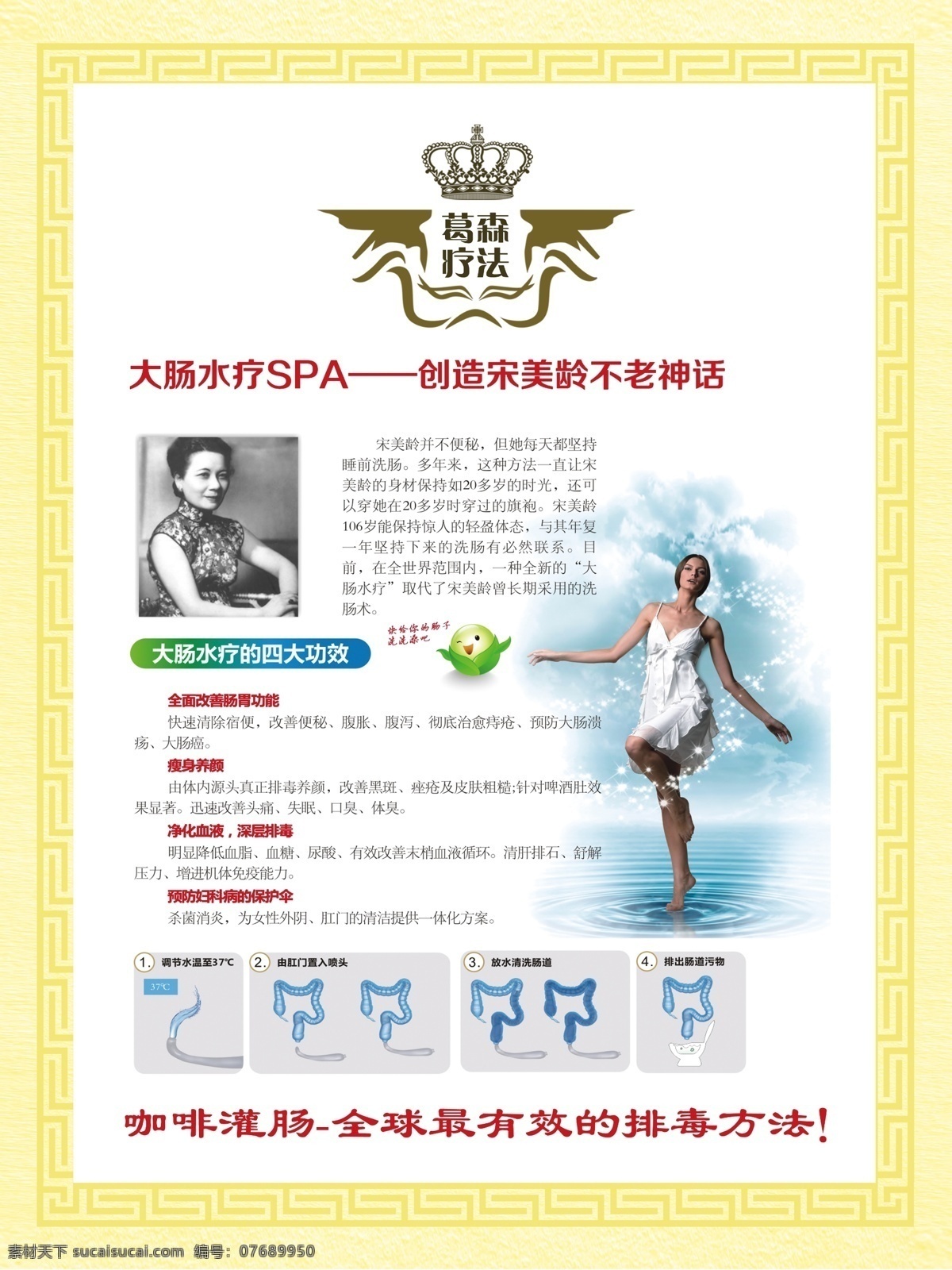 肝脏 海报 静脉 肝门静脉 咖啡 身体血液 葛森疗法 白色