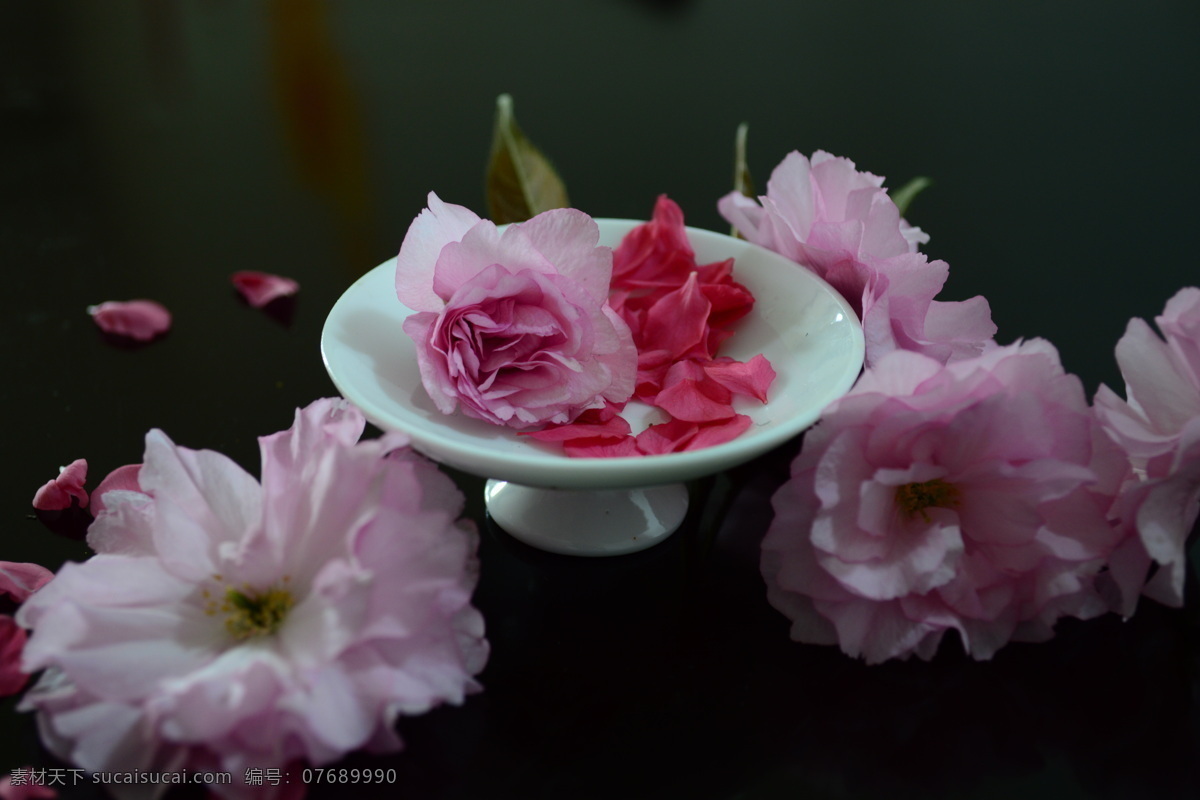 瓷器 花 花瓣 红色 粉红色 传统文化 文化艺术