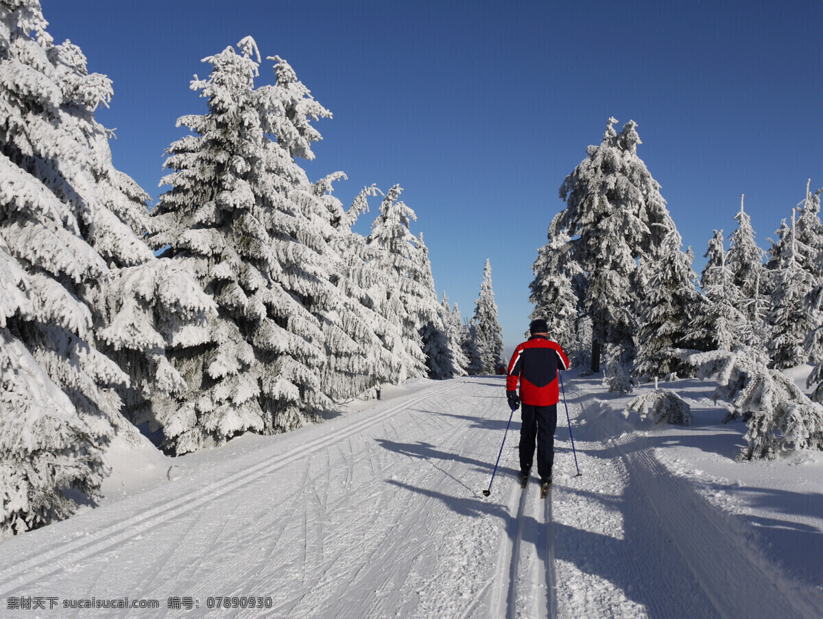 雪地 上 滑雪 运动员 冬天 雪地运动 划雪运动 极限运动 体育项目 运动 体育运动 生活百科 灰色