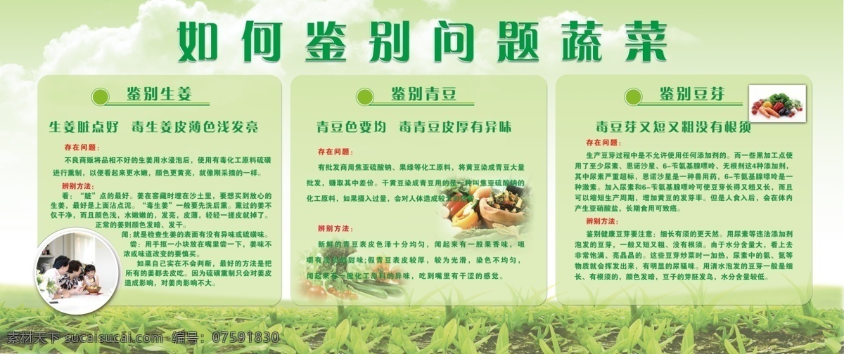 餐饮 广告设计模板 科普知识 绿色 卫生 源文件 展板 展板模板 蔬菜知识展板 如何 鉴别 问题 蔬菜 饮食安全 其他展板设计