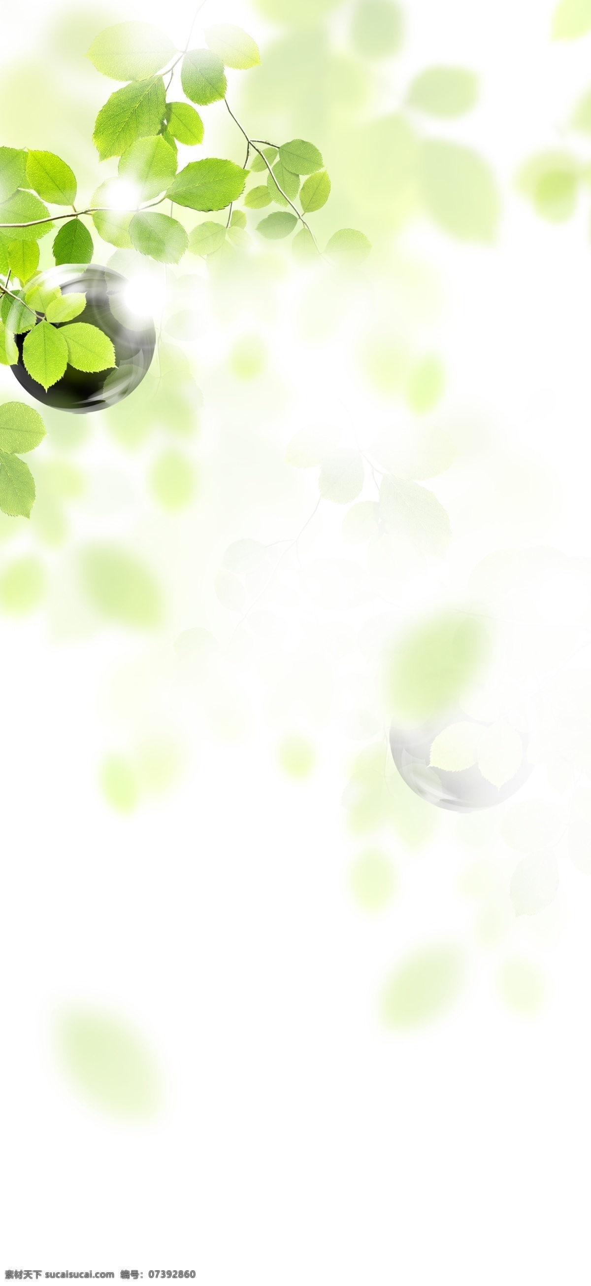 绿色 朦胧 树叶 背景 绿色树叶 朦胧叶子装饰 浅绿色 泛光 绿叶 清新 素材图片
