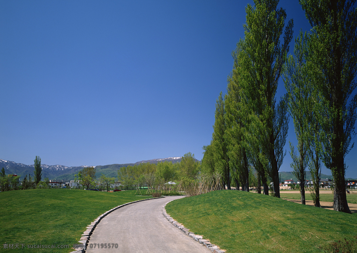 旅游景区 大树 草地 天空 自然风光 公路 道路 道路摄影 交通 公路图片 环境家居