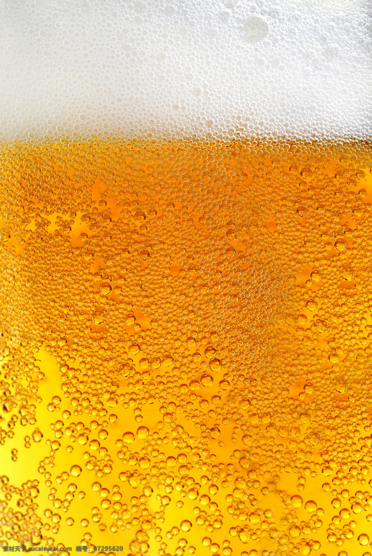 一杯 啤酒 特写 一杯啤酒特写 饮料酒水 餐饮美食 啤酒特写图 啤酒图 实用图片 精美图片 印刷适用 高清图片 创意图片 酒类图片