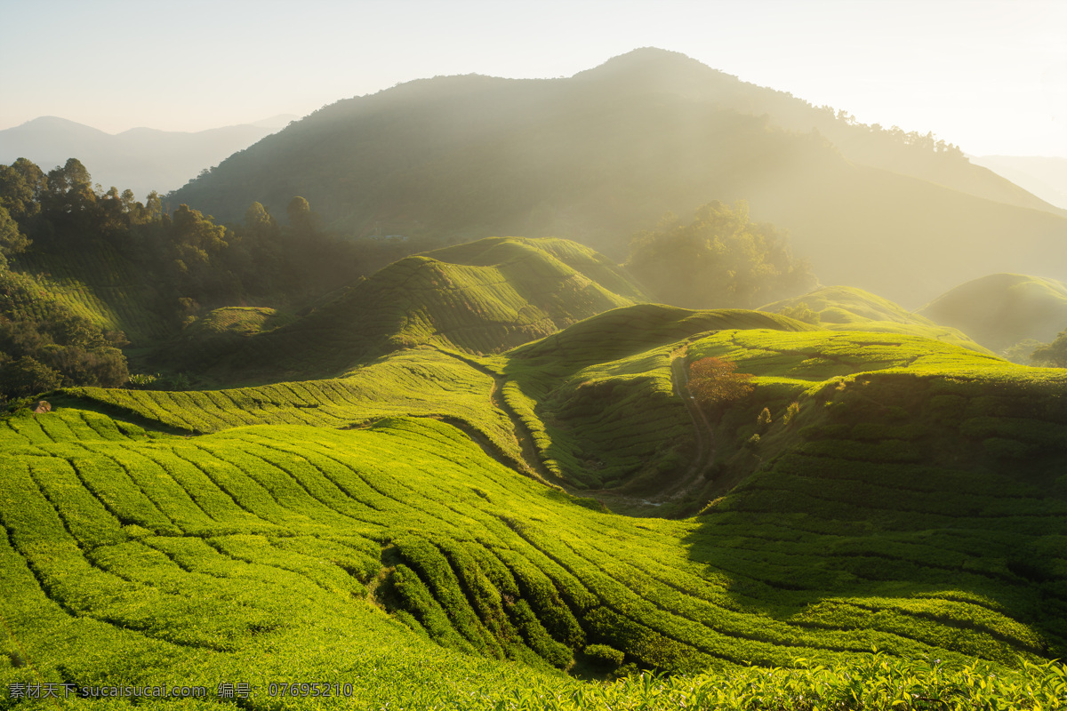 唯美 热带雨林 景色 高清 旅游 旅行 人物 风景摄影 美丽风景 自然风景 美丽风光 美丽景色 美景 山水风景 风景图片 白色