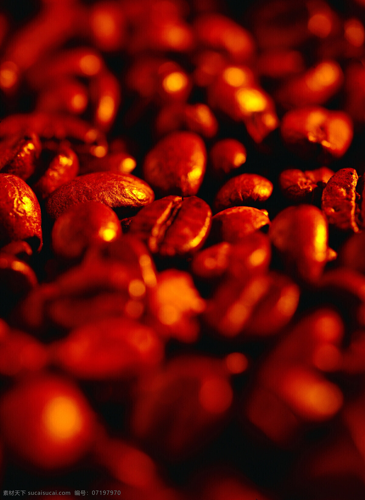 片 褐色 咖啡豆 特写 素材图片 一片咖啡豆 一堆咖啡豆 许多 很多 颗粒 褐色咖啡豆 coffee 高清图片 咖啡图片 餐饮美食