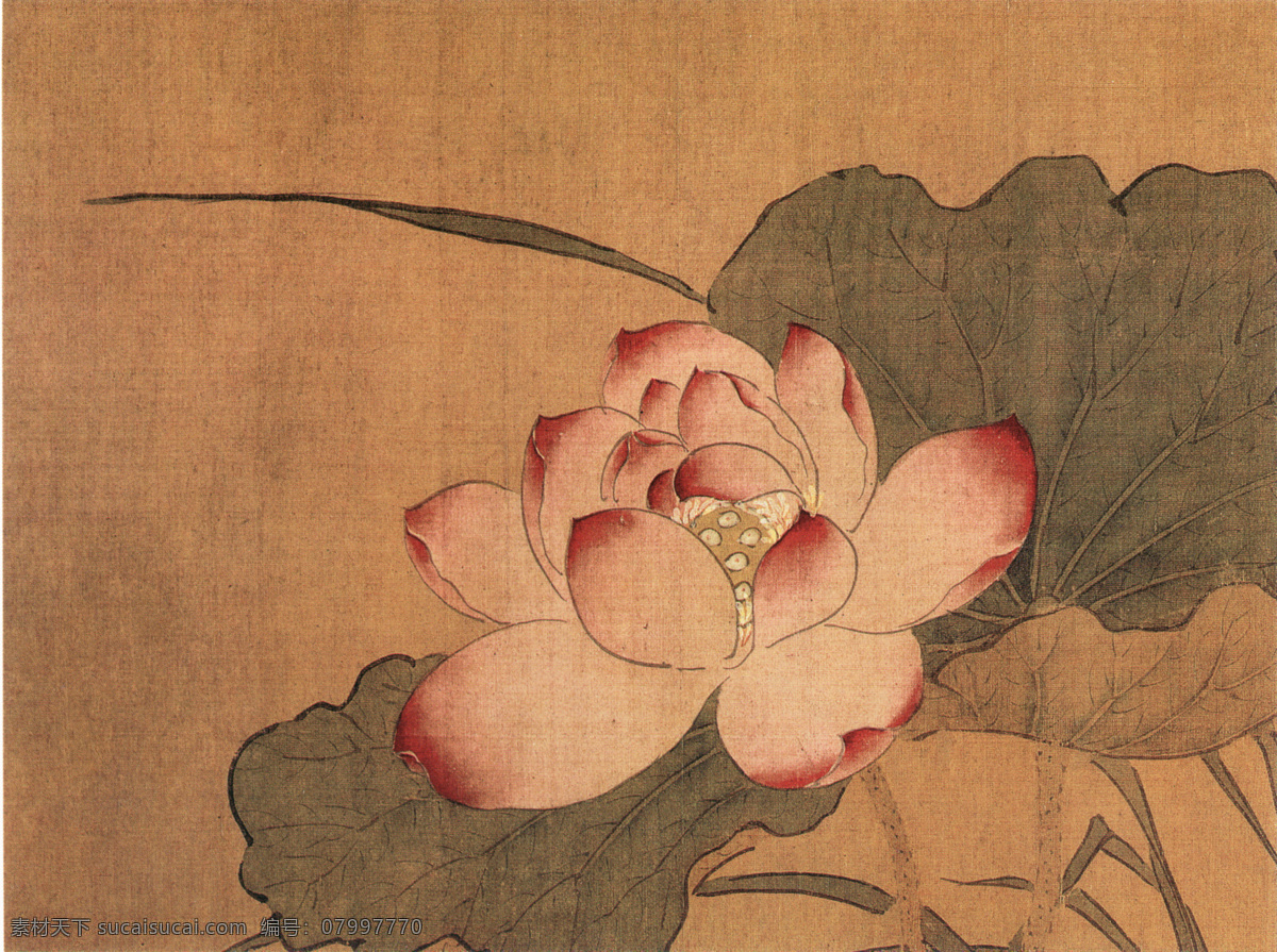 植物免费下载 白鹤 荷花 牡丹花 喜鹊 植物 中国风 中华艺术绘画 文化艺术
