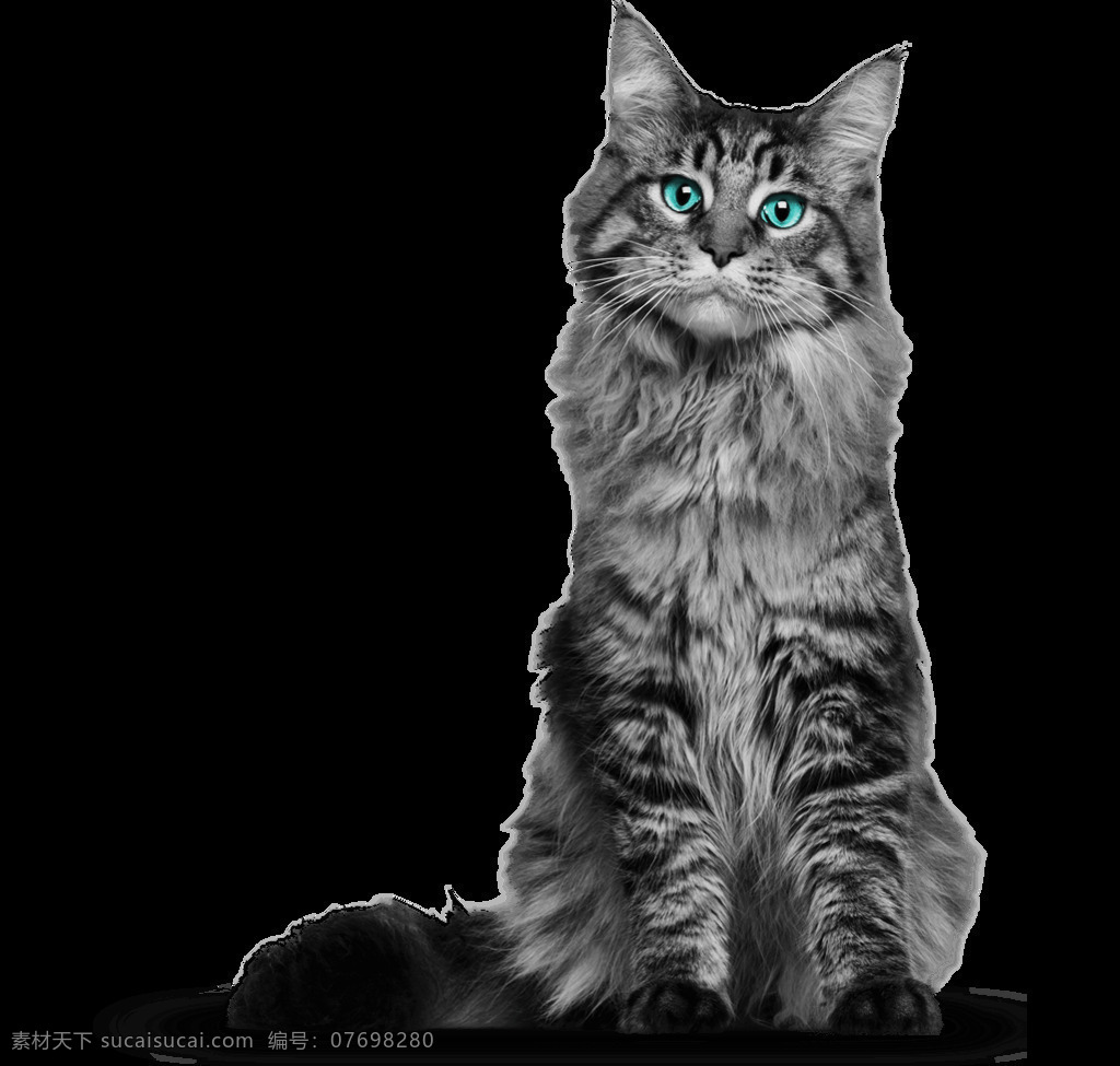 可爱 小猫 免 抠 透明 图 层 小 猫咪 卖 萌 死人 世界 上 最 可爱小猫图片 小猫咪图片 大全 小猫图片高清 小猫海报素材 小猫图片