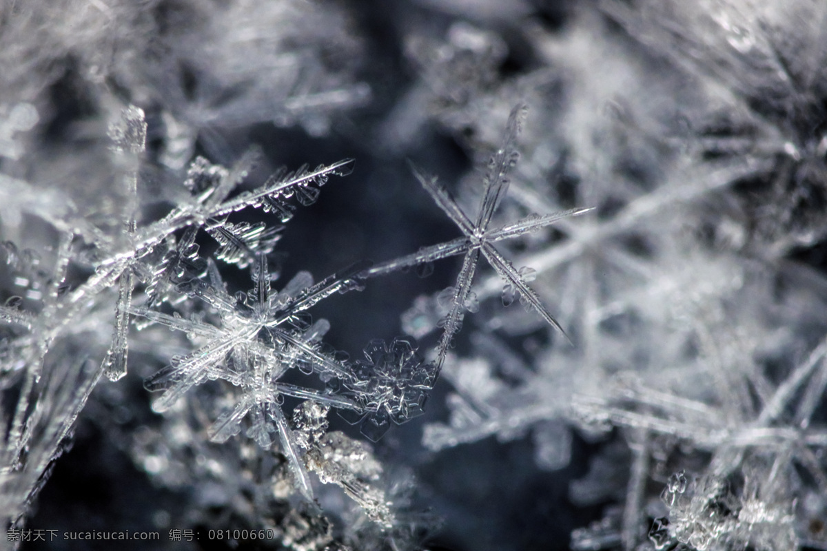 微 距 雪花 微距 北京 冬天 寒冷 冰晶 雪 六边形 结晶 晶体 微观 世界