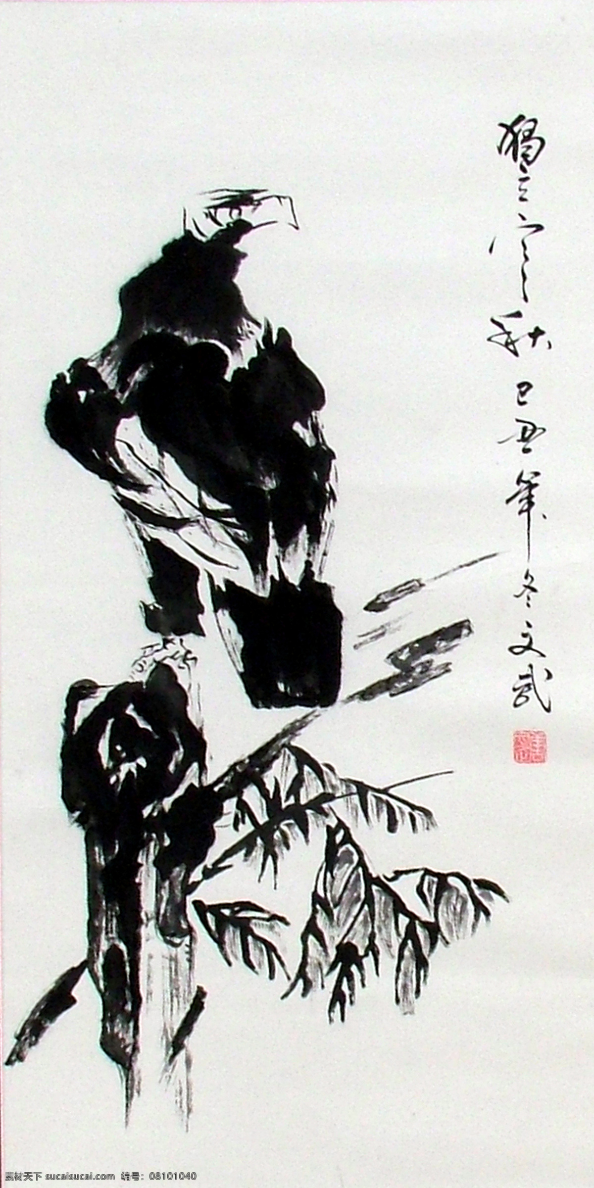 水墨画 鹰 国画 山水画 水墨画鹰 文化艺术