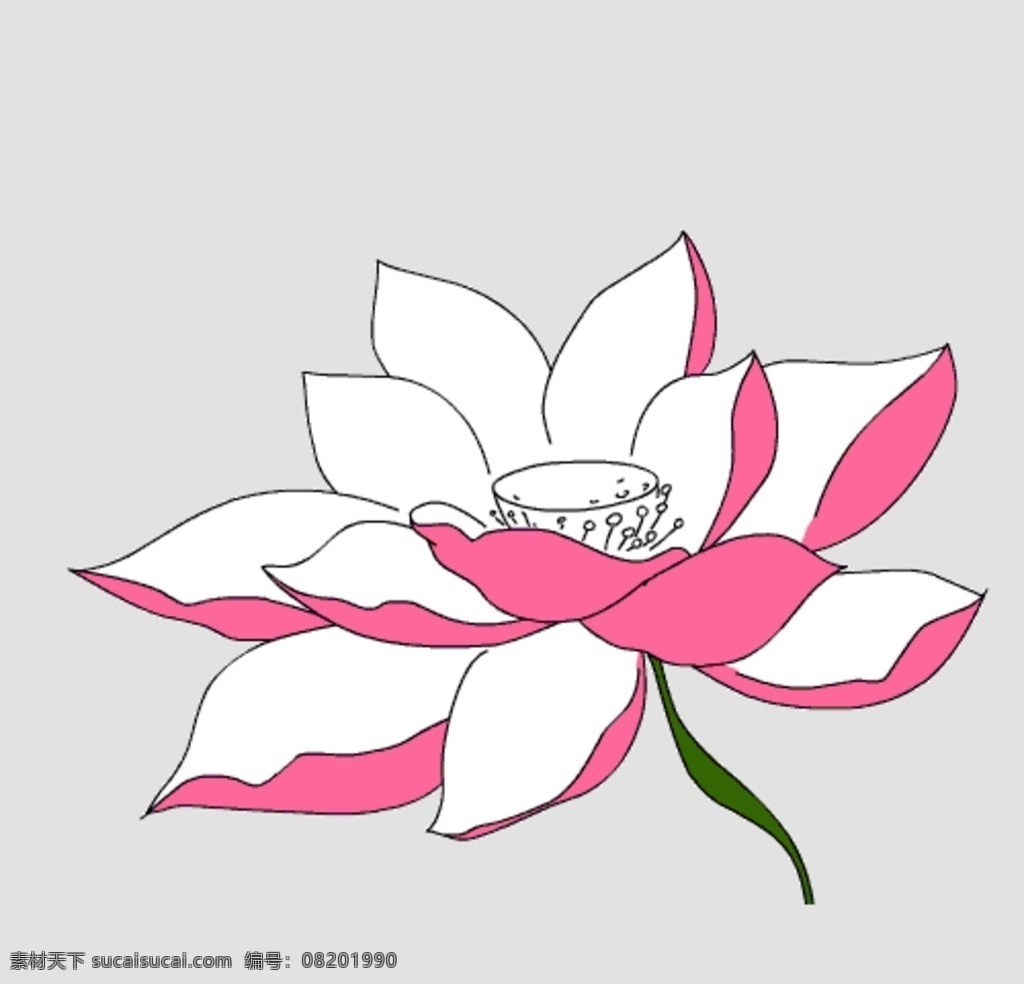 莲花开 莲花 花开 花 flash 动画 动态 多媒体 动画素材 fla