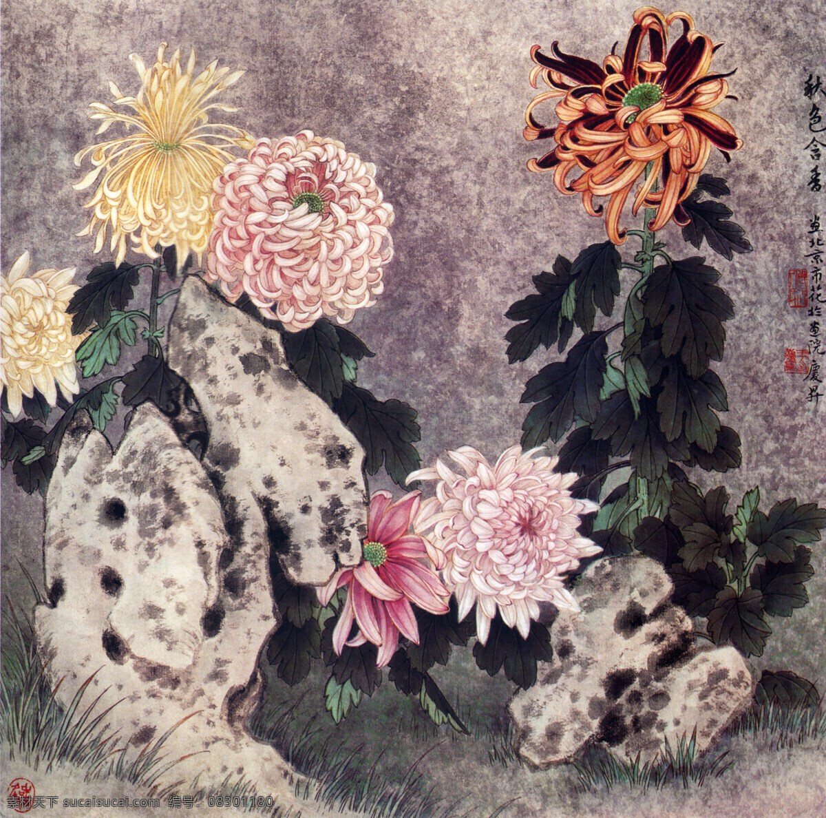 国画菊花 国画 花鸟画 菊花 绘画 绘画书法 文化艺术