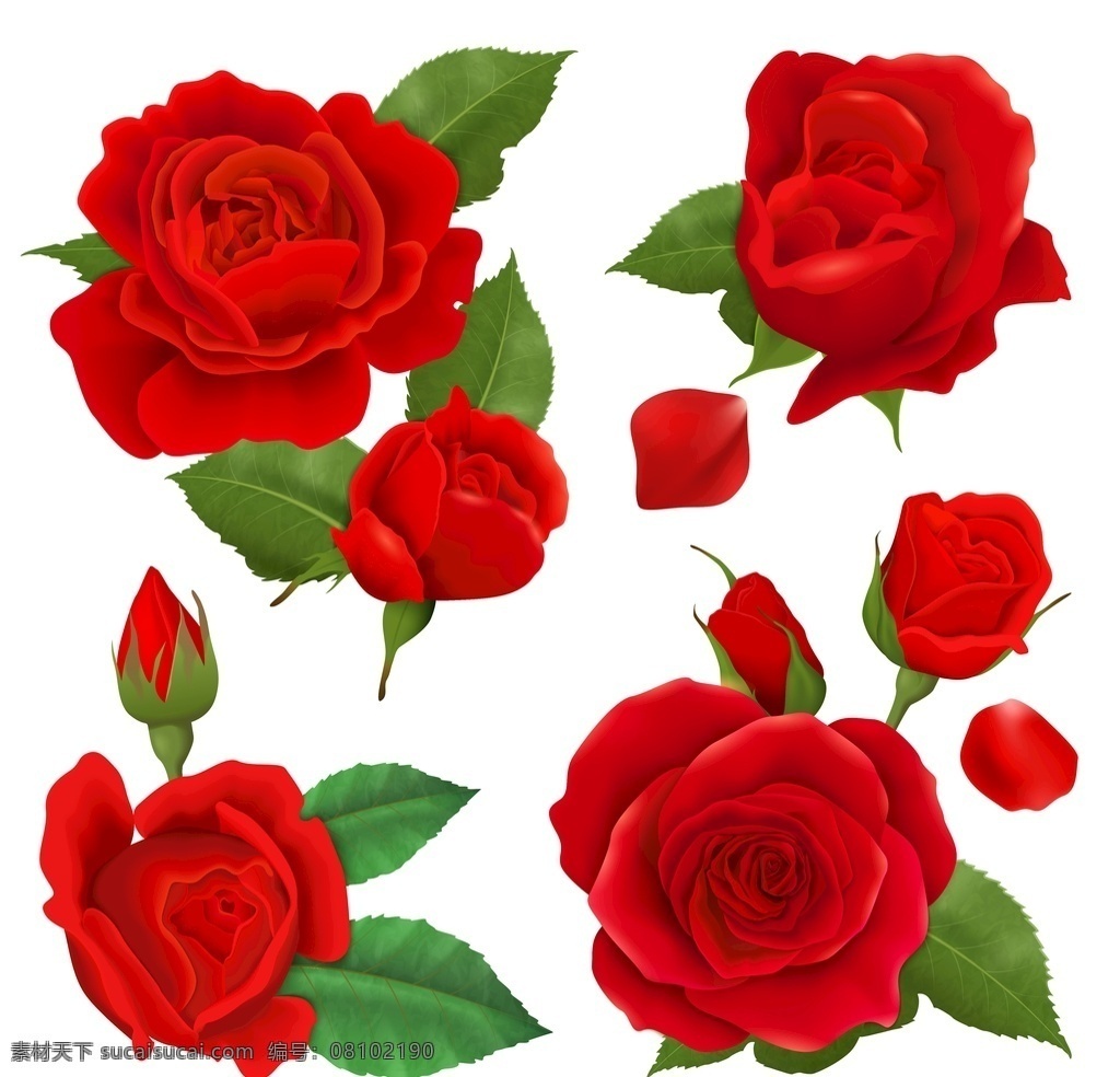 玫瑰 花 玫瑰花海 玫瑰精油 玫瑰花园 粉色玫瑰 红玫瑰 天竺葵 玫瑰花瓣 玫瑰花束 静物 特写 花朵 花海 希望 墨迹 文艺 静物摆拍 唯美 幸福 爱人 静物素材 节日 艳丽 七夕 盛开 鲜艳 背景 情侣 教师节 520 儿童节 爱情 情人节 线上 美妆 圣诞 五月 告白 表白 分层