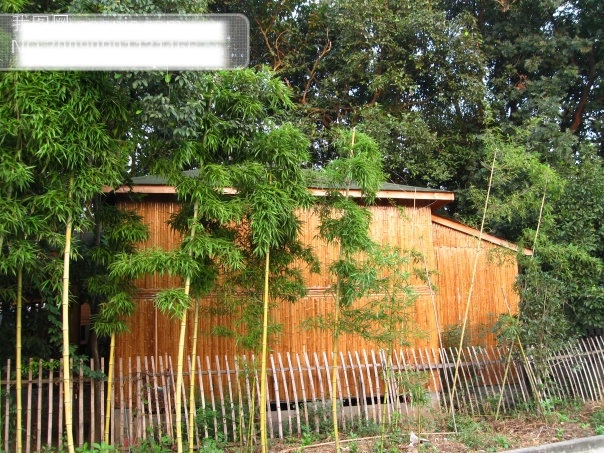 房子免费下载 房子 杭州 旅游摄影 绿色植物 摄影图 树 富阳 黄公望风景 杭州旅游 风景图片 风景 生活 旅游餐饮