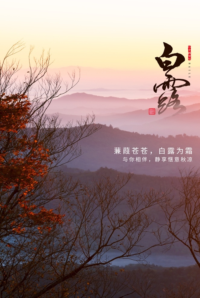 白露海报 白露单张 白露展板 白露微信 白露宣传 白露活动 白露背景 白露主题 白露吊旗 白露x架 白露图片 白露微信稿 白露展架 雨水 白鹭 白露节气 展板模板