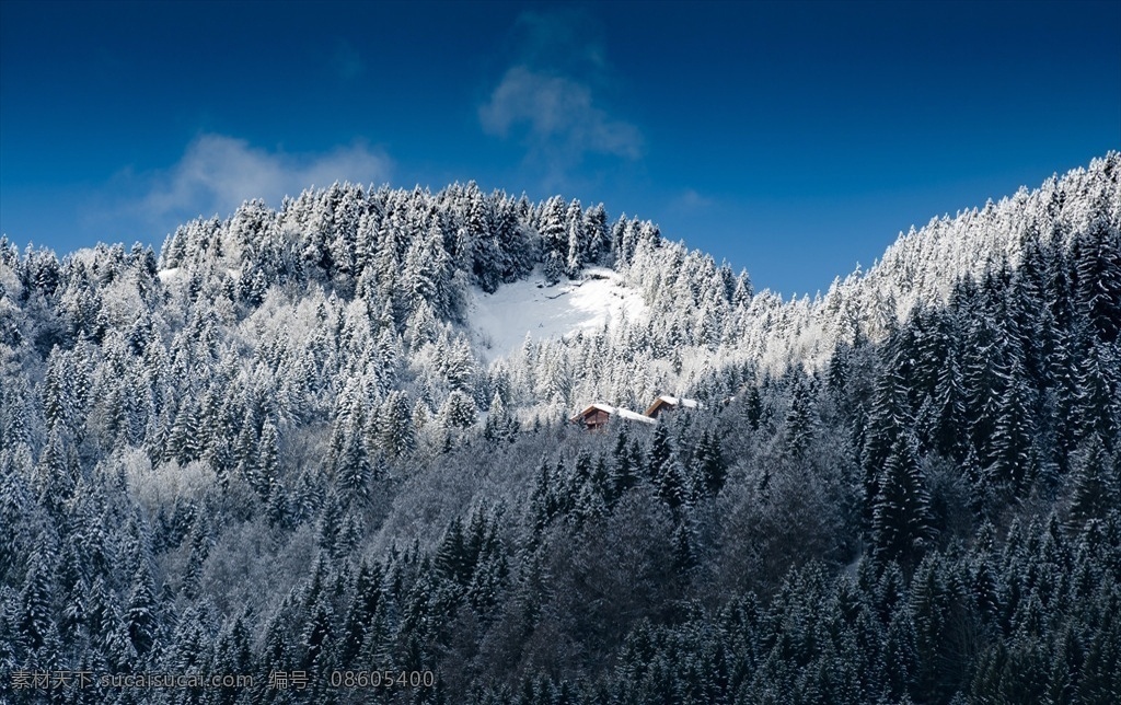 雪景 冬雪 蓝天白云 山峦 雪松 白雪 冬天 冰雪 自然景观 自然风景