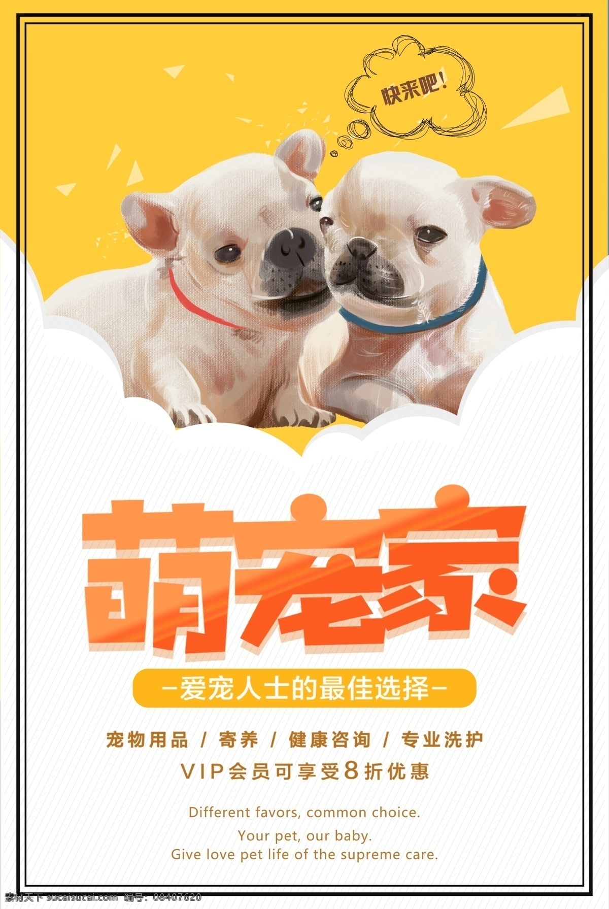 萌宠 搞笑 个性 表情 特效 共享