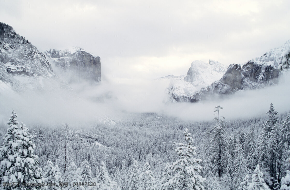 自然风景 高清图片 jpg图库 摄影图片 自然景观 自然风光 森林 风景图片 冰山 下雪 雪地 白色