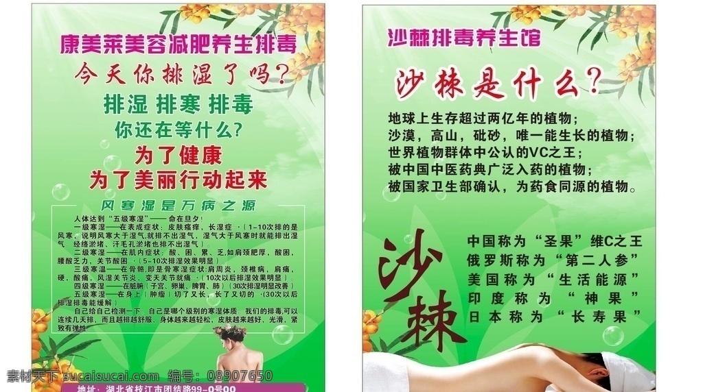 沙棘 养生 美女 按摩 美容院 海报 美女按摩 文化艺术