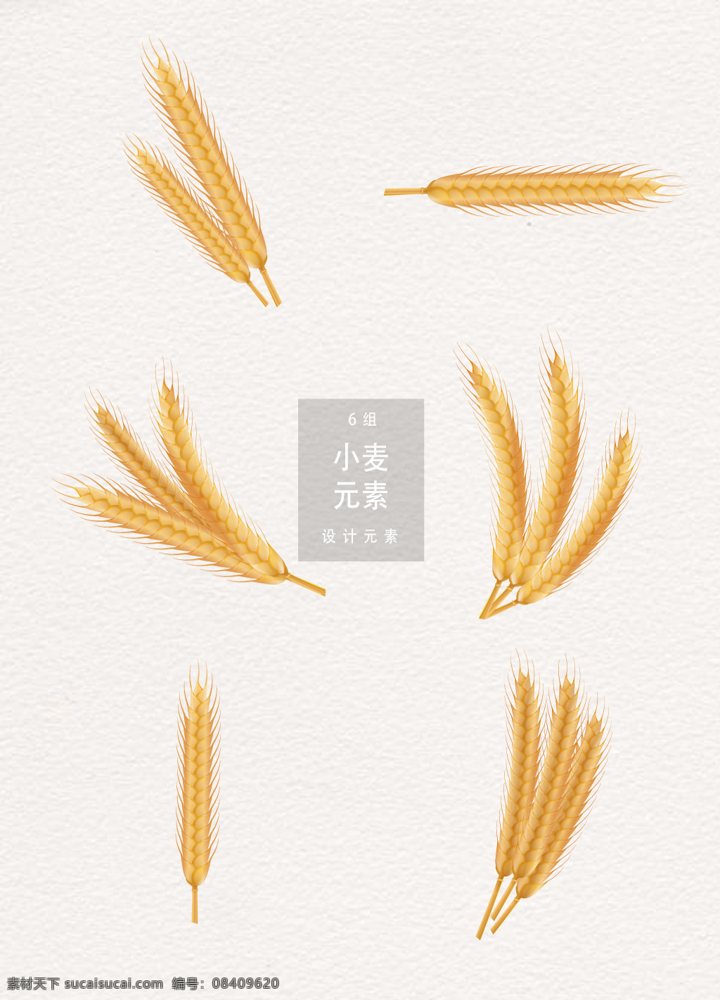 小麦 麦子 元素 设计元素 植物 麦穗 五谷 小满 二十四节气 传统节气 谷物 ai素材
