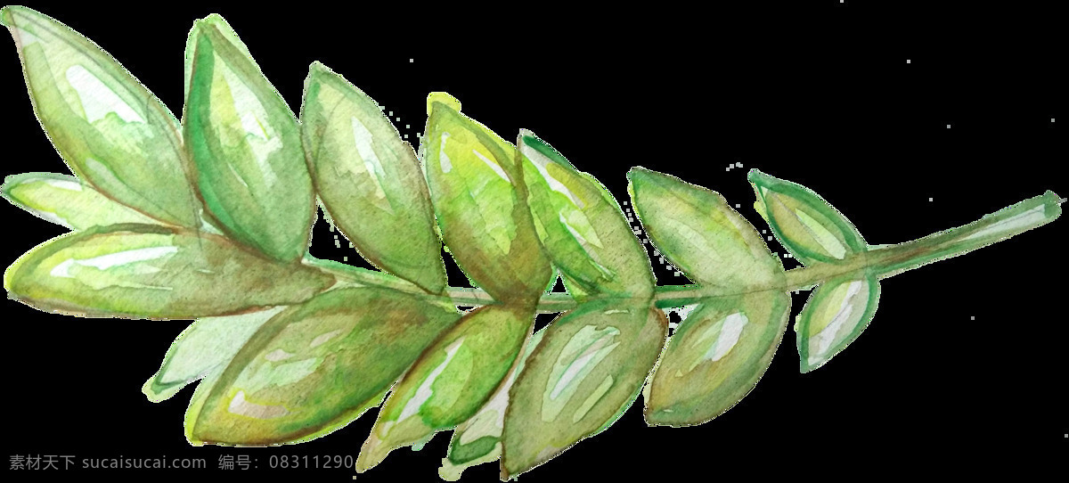 幻影 枝叶 卡通 透明 装饰 树叶 黄色 透明素材 免扣素材 装饰图案