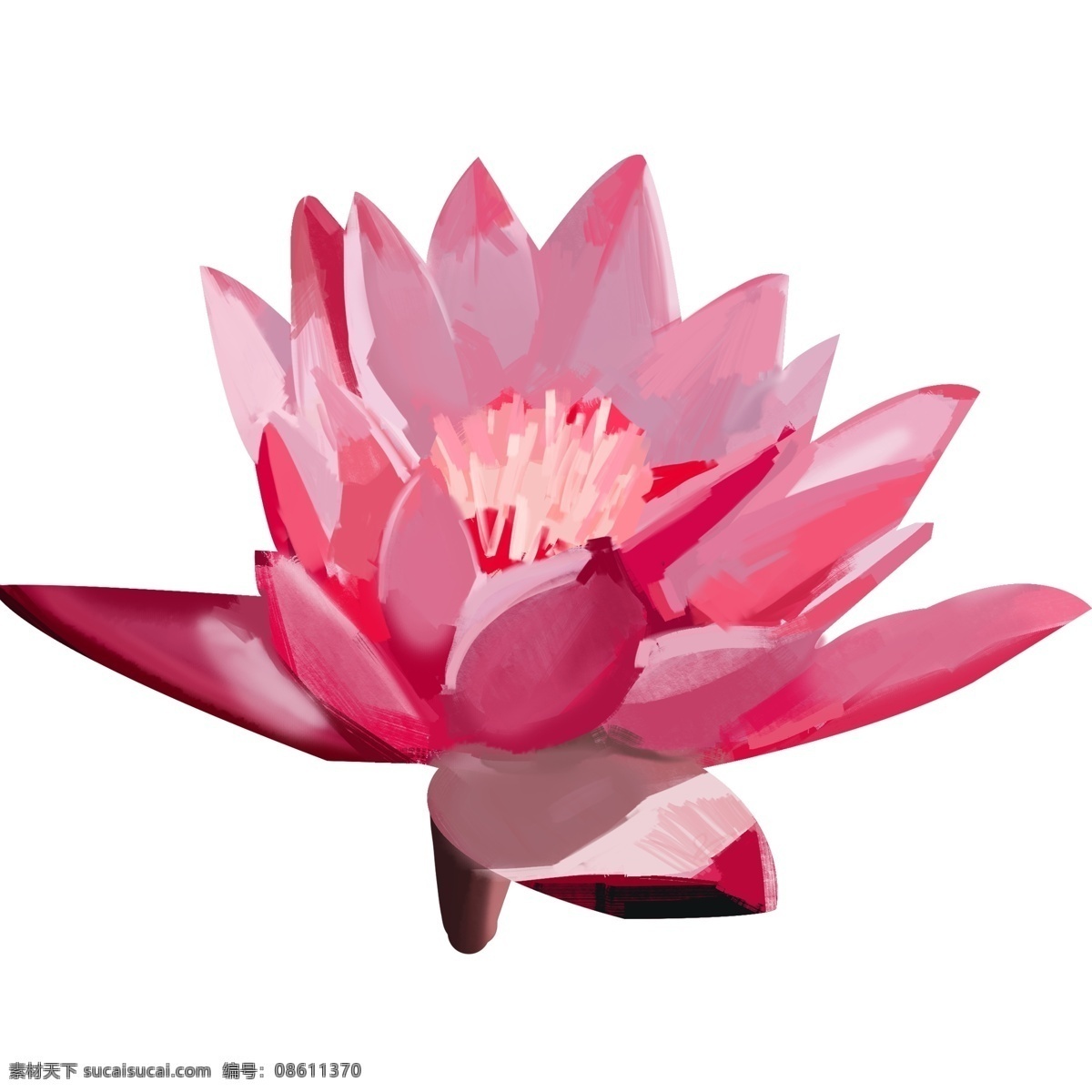 清新 莲花 装饰 元素 装饰元素 手绘 花朵 盛开 鲜艳 花蕊