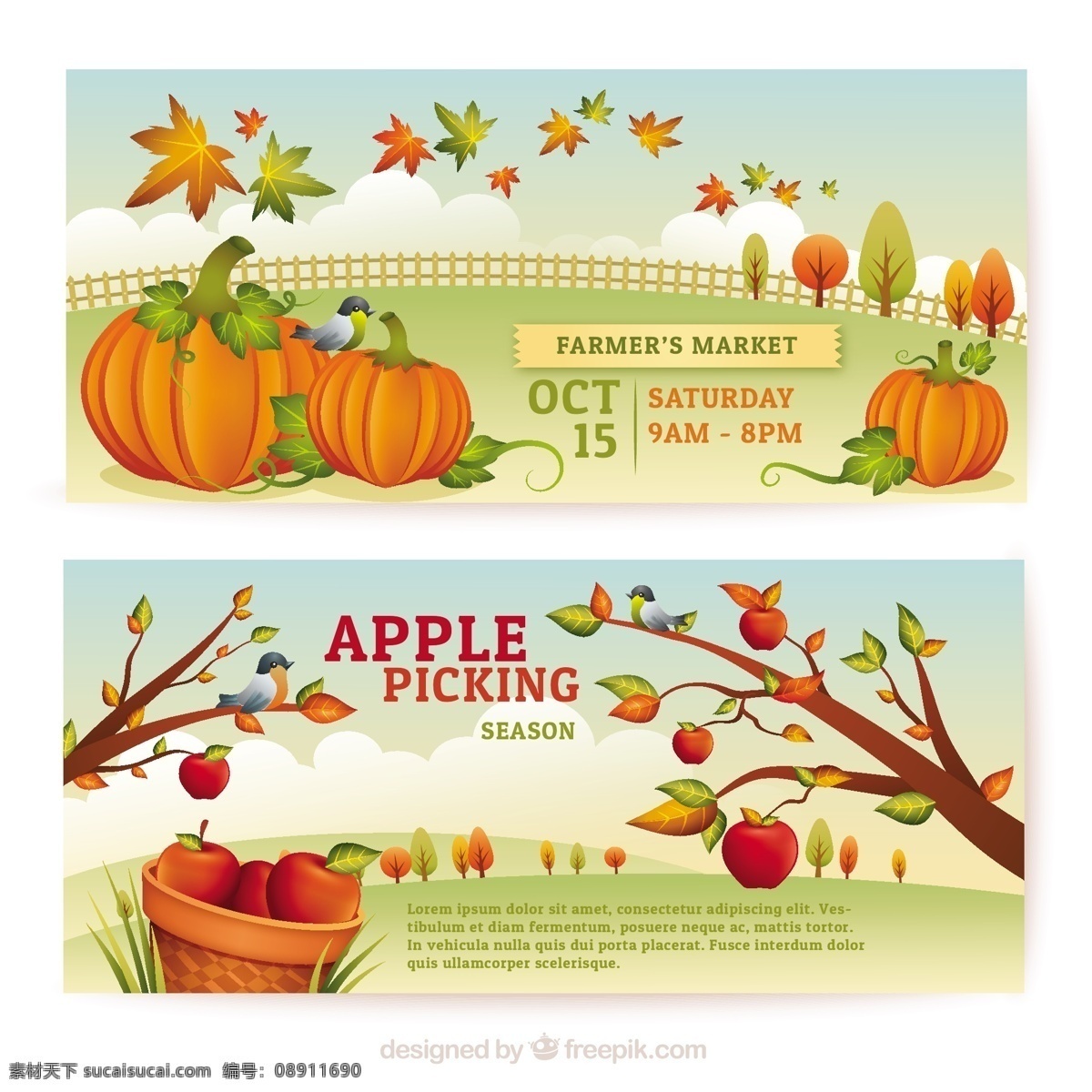 秋天 采摘 横幅 旗帜 邀请 自然 农场 水果 蔬菜 农民 农业的季节 收获的季节 白色