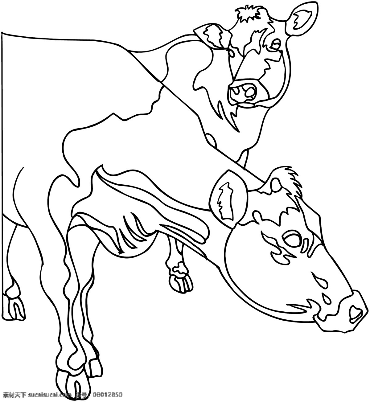 牛 家禽家畜 矢量素材 格式 eps格式 设计素材 矢量动物 矢量图库 白色