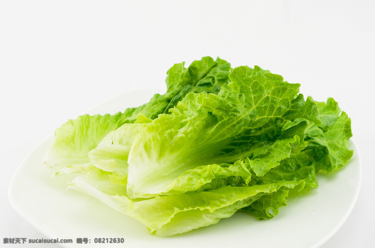 盘子里的生菜 生菜 夏日火锅 配菜 豆捞 美食 食物 中国传统美食 餐饮美食 传统美食 蔬菜 生物世界