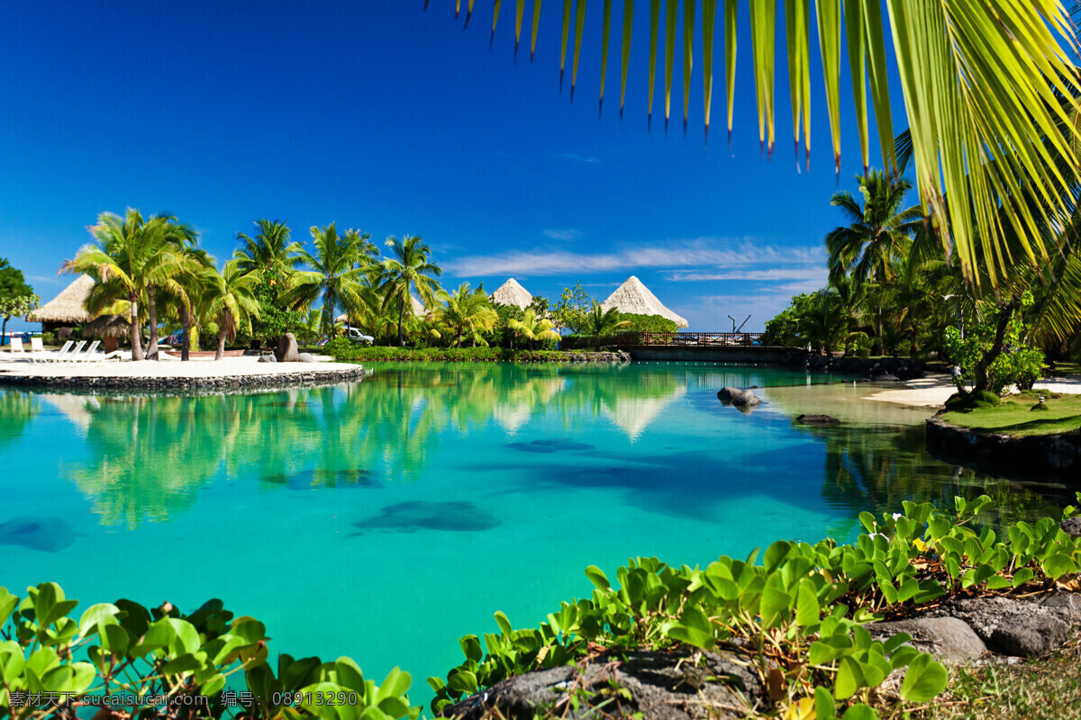 高清 风景图片 度假 房屋 海面 椰树 植物 风景 生活 旅游餐饮