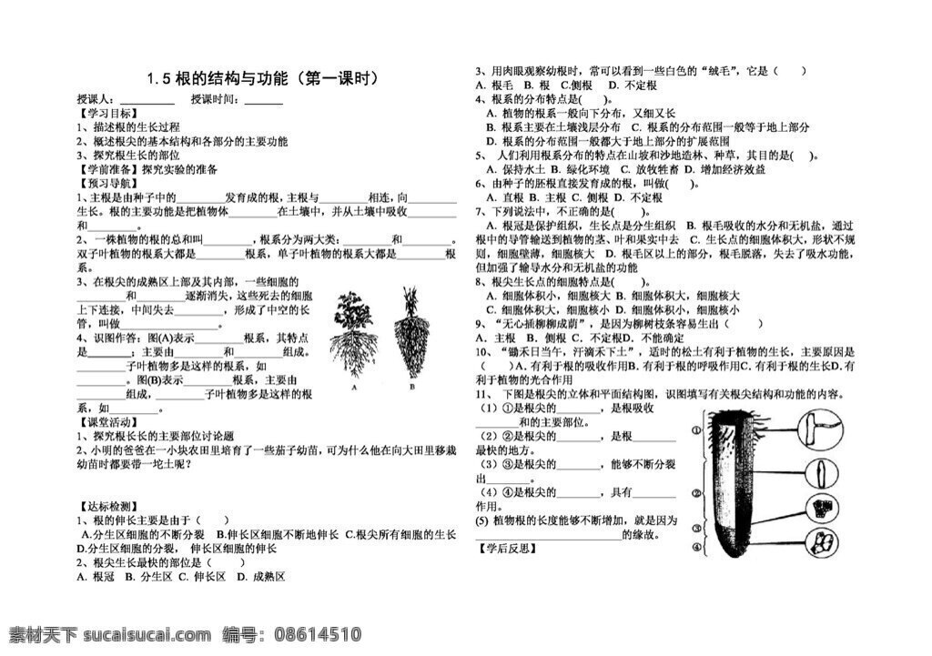 八 年级 上册 生物 根 结构 功能 八年级上册 学案