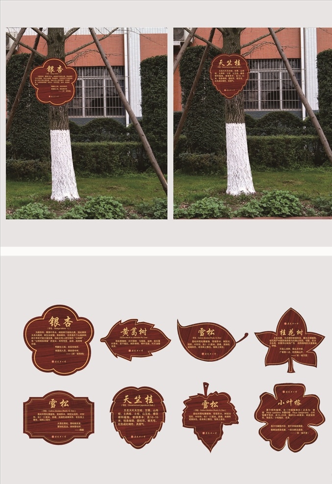 学校树名牌 树名牌 异形树名牌 仿古树名牌 桂花树名牌 朴树树名牌 白玉兰树名牌 相关树名牌 香樟树名牌等