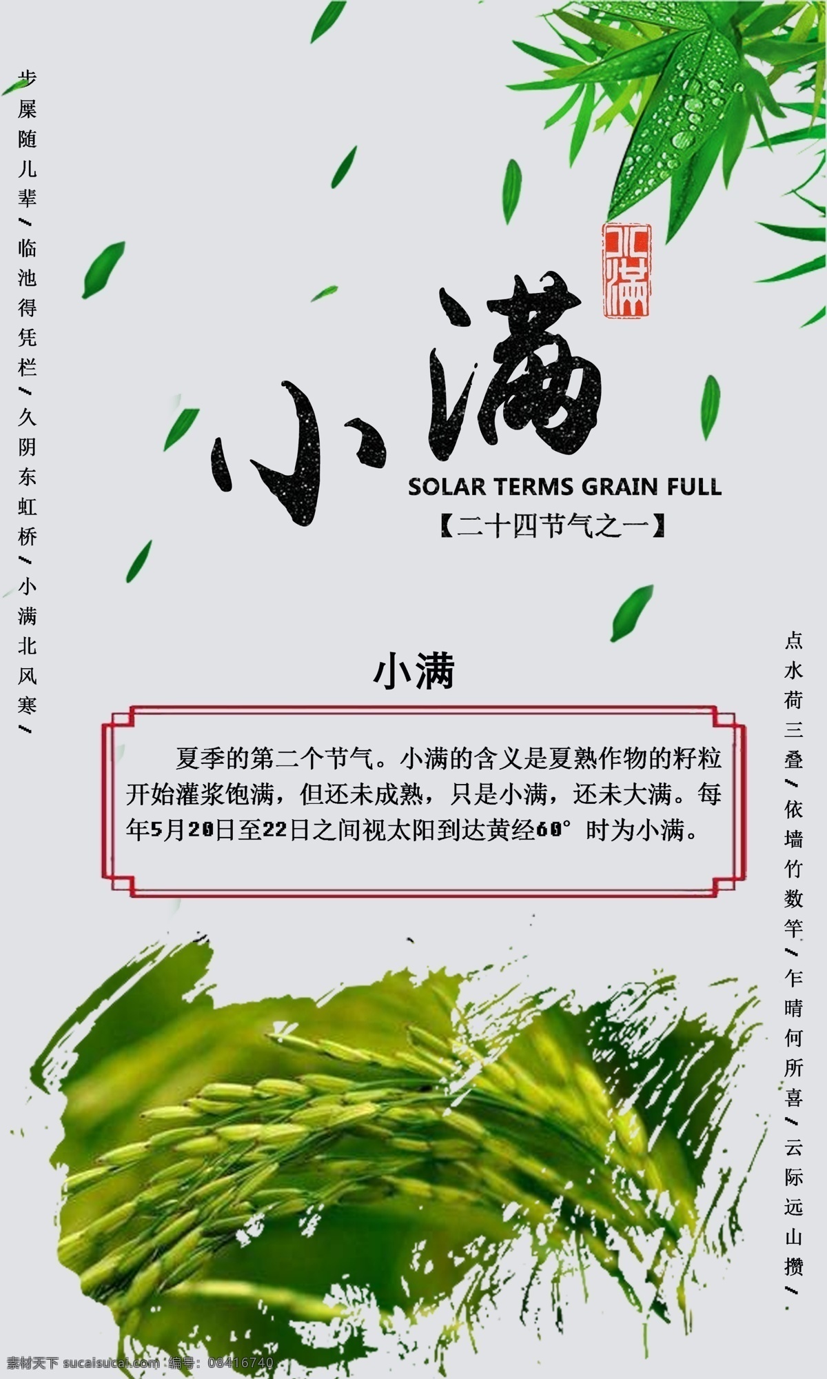 小满海报 小满 极简 二十四节气 传统节气 小满节气 水稻