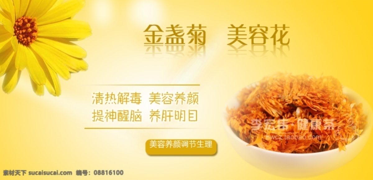 金盏 菊 茶 美容花 其他模板 网页模板 源文件 模板下载 金盏菊 橘底 明目 网页素材
