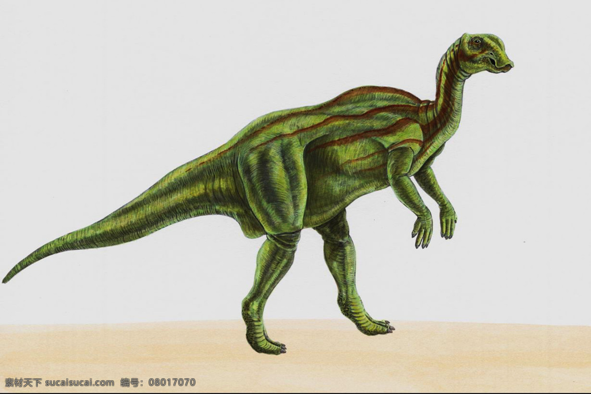 恐龙 侏罗纪 恐龙时代 恐龙绘画 恐龙手绘 恐龙复原图 生物世界