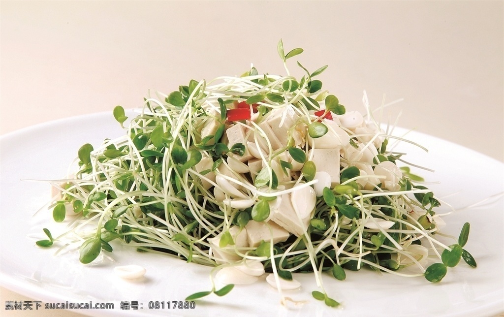 淮扬菜图片 淮扬菜菜名 淮扬菜国宴菜 淮扬菜特色 淮扬菜狮子头 淮扬菜煮干丝 淮扬菜虾仁 淮扬菜菜品 淮扬菜特色菜 淮扬菜色香味 淮扬菜饭店 淮扬菜海报 淮扬菜展板 淮扬菜宣传 淮扬菜扬州菜 淮扬菜镇江菜 淮扬菜国宴 淮扬菜酒店 淮扬菜酒家 淮扬菜美味 淮扬菜美食 餐饮美食