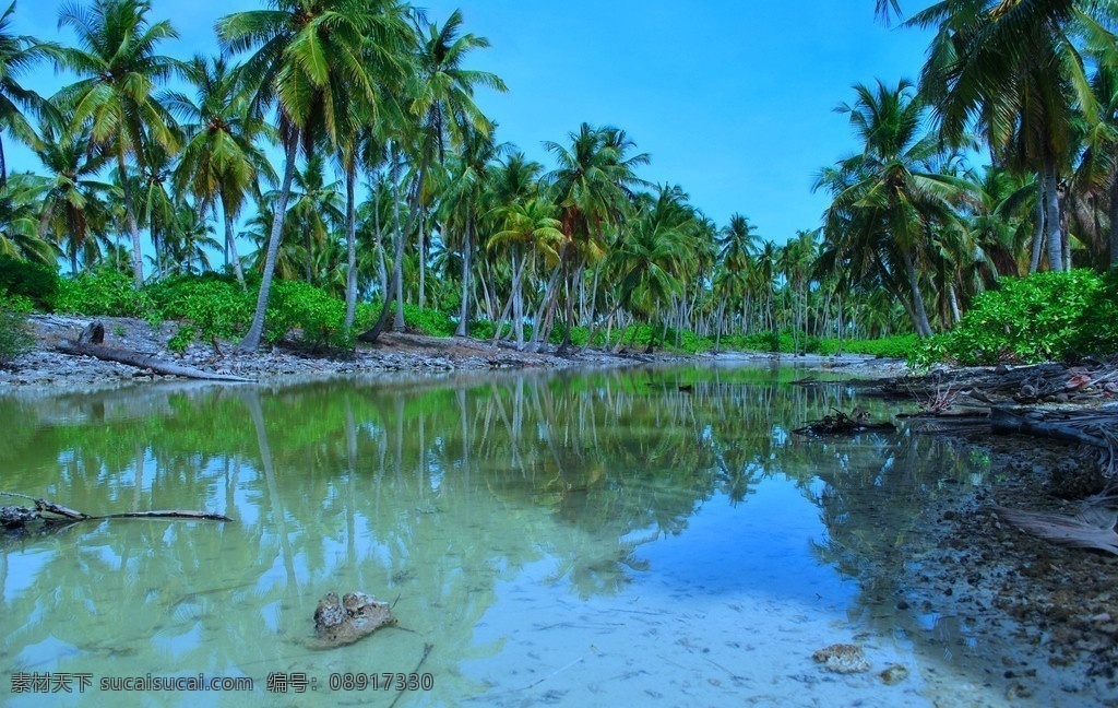 椰岛 皇后椰子 皇后棕 椰子 椰子树 热带 海 海水 海面 清澈 蓝天 海滩 度假胜地 度假村 盛夏 山水风景 自然景观