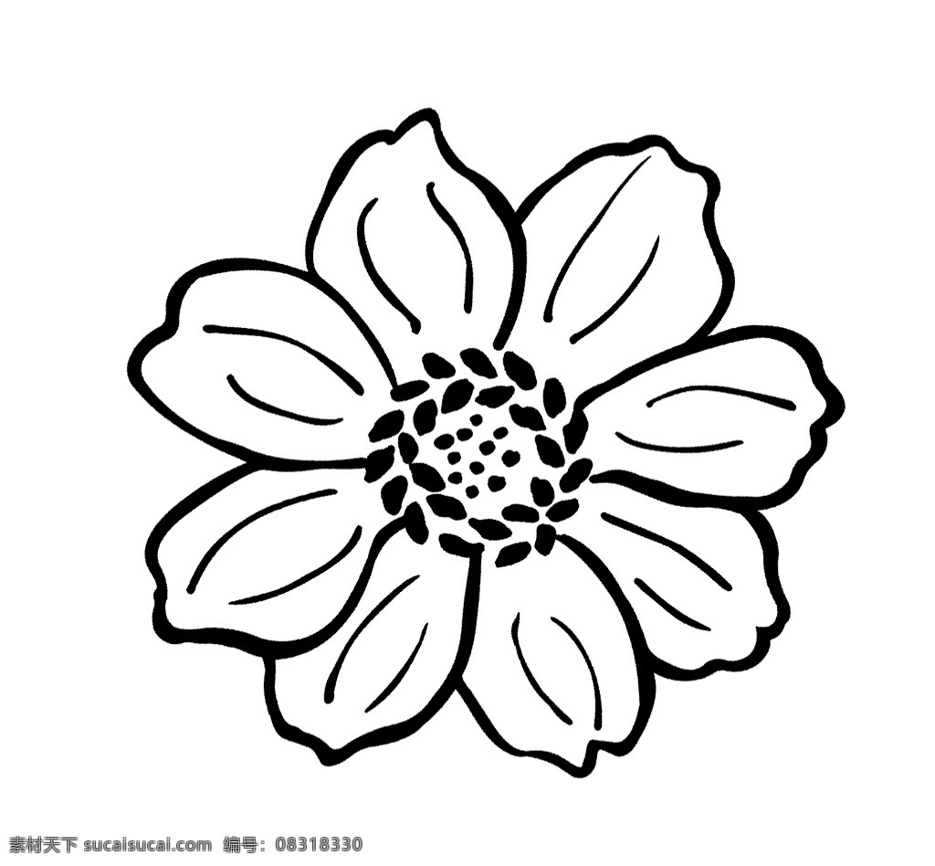 线条花图片 黑白线条花 黑白花卉 创意花卉 抽象花卉 高清花卉 印花素材 服装图案素材 家纺图案素材 花卉