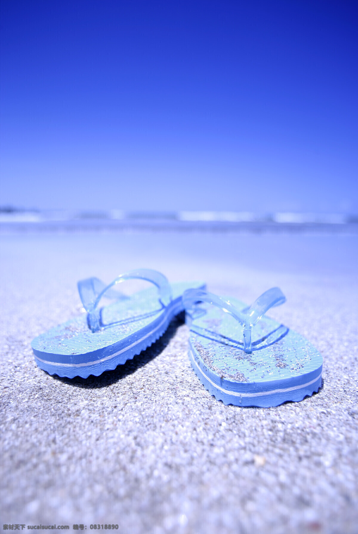 夏日 气息 风景 海边 海星 花 旅游 帽子 沙滩 鞋子 阳光 夏日气息 夏日用品 水 生活 旅游餐饮
