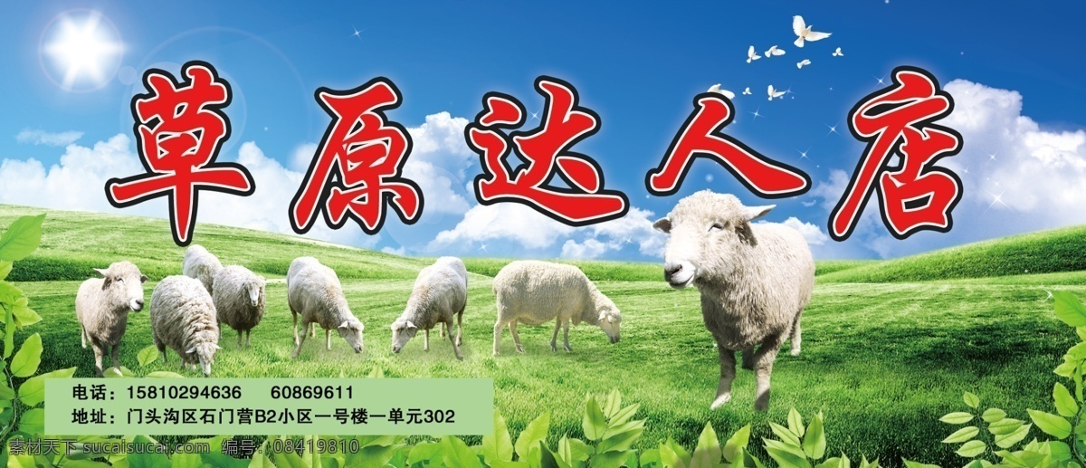 草原 羊肉 宣传单 羊肉宣传 羊群 蓝天白云 蓝天草原 自然景观 自然风光