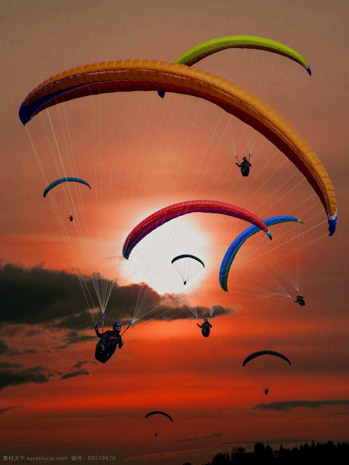 跳伞 运动 落日 夕阳 海面 森林 自然景观 自然风景