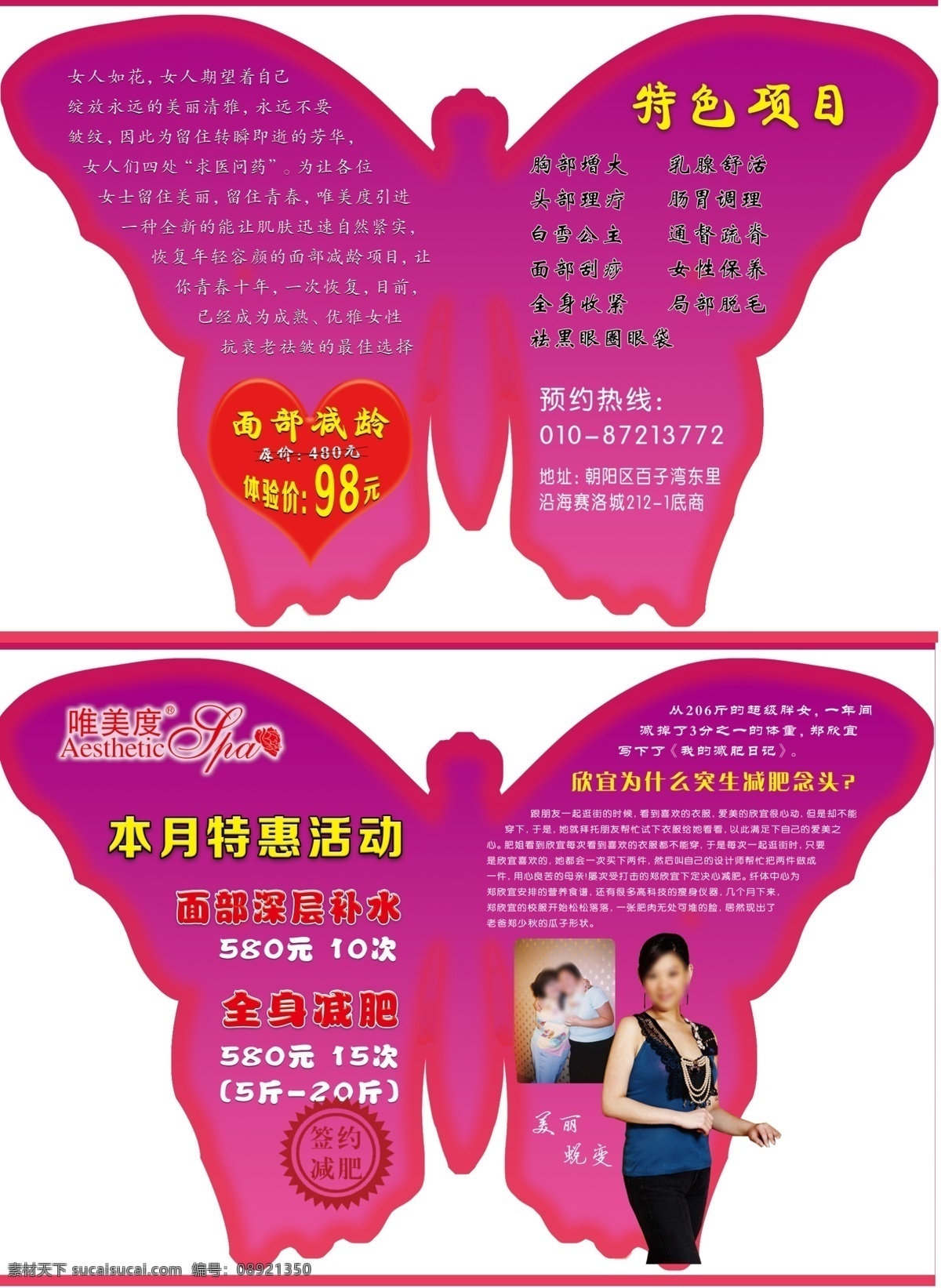 蝴蝶形彩页 尾室 紫色